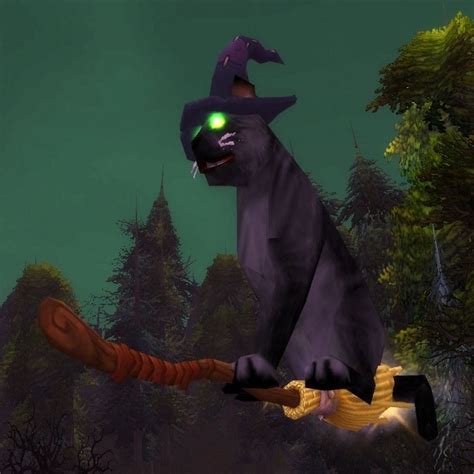 The powerful feline and the witch weezer